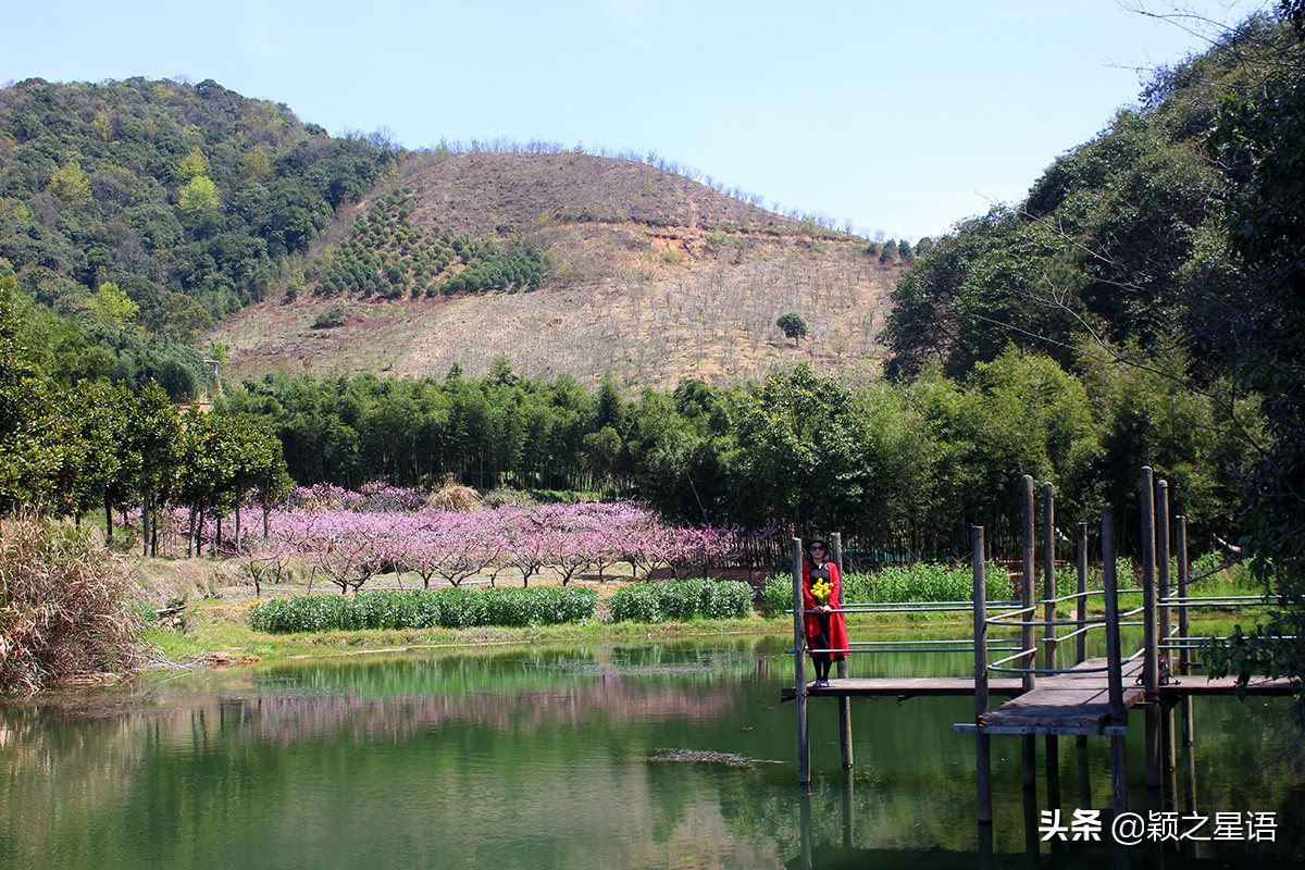 天下第一桃花源风景区,天下第一桃园图片