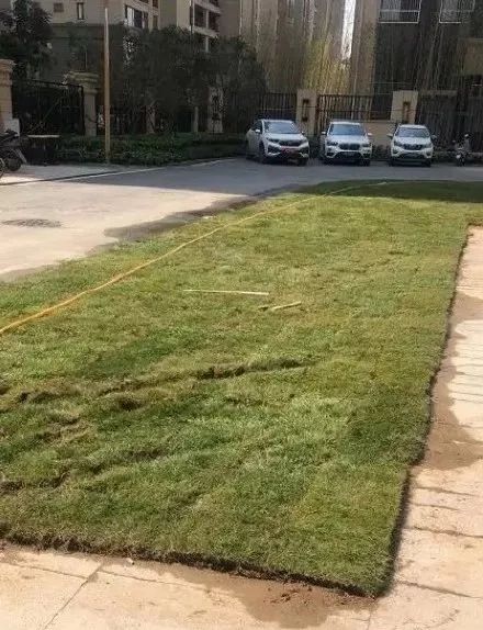 裸眼4D塑胶人工湖、水泥地上种草皮,开发商那些骚断腰的迷惑行为
