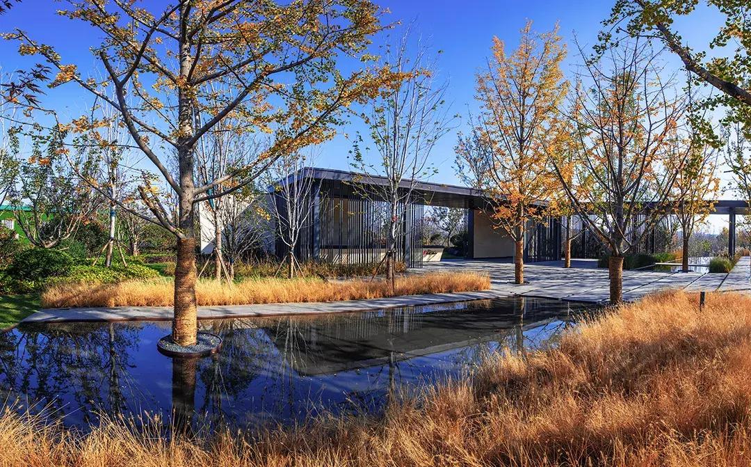 盘点郑州这些C位出道的热盘