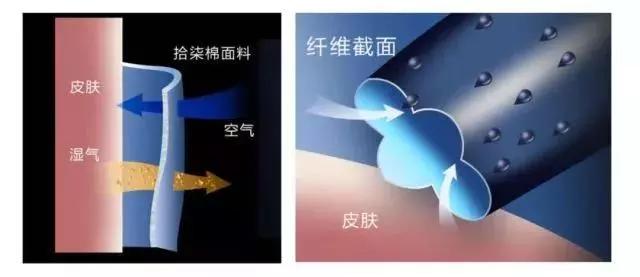 优衣库跟zara的短袖对比,优衣库中长款t恤白色速干