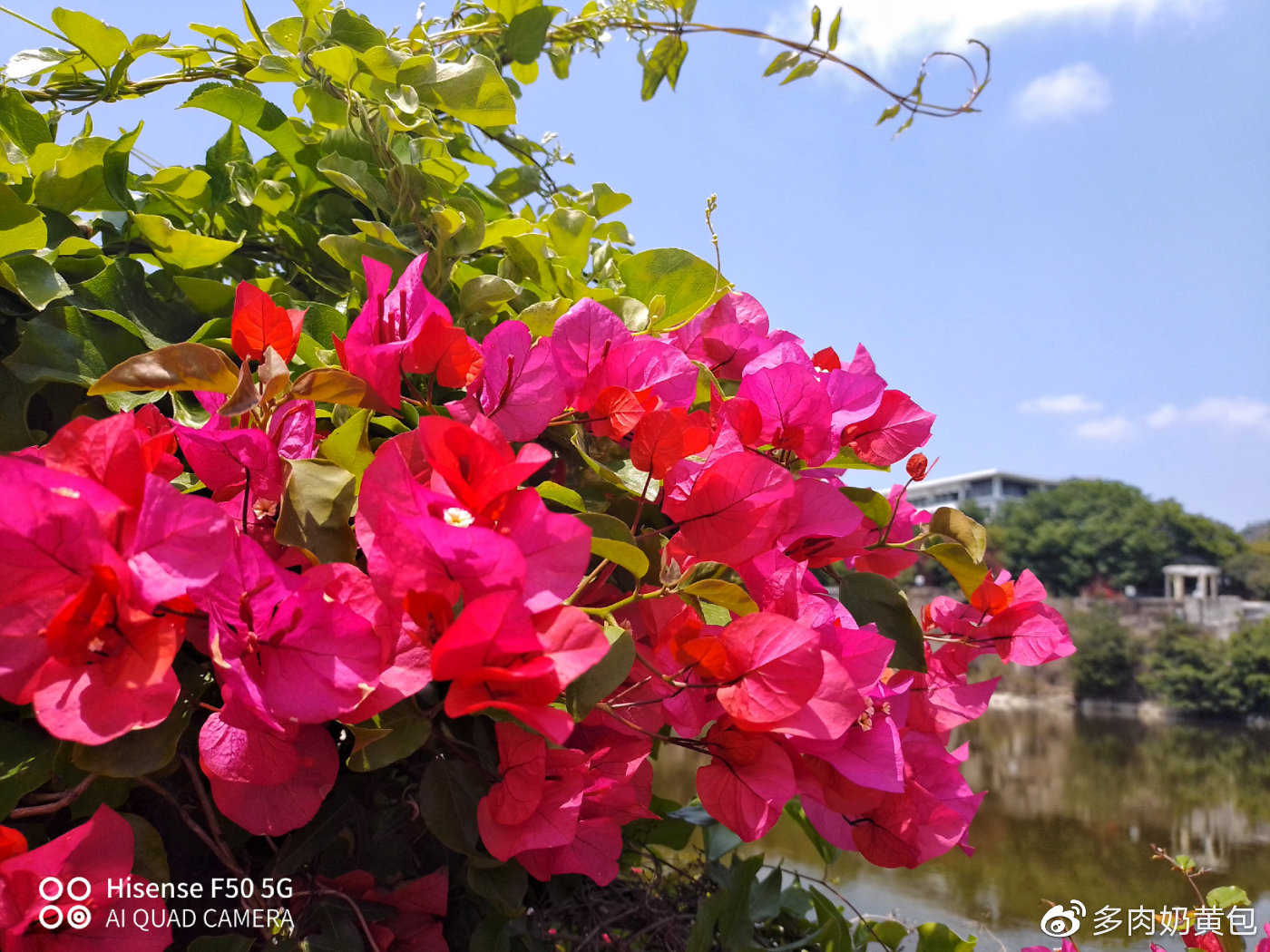 海信f50是5g手机吗,海信f50型号