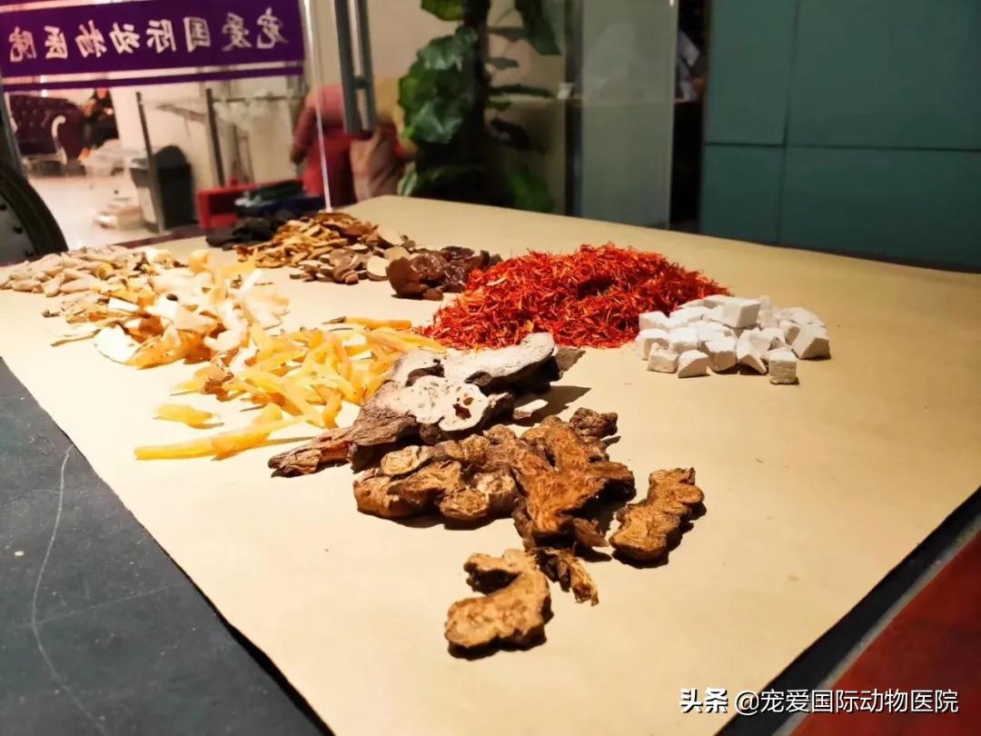 魏巍十大临床案例,魏巍临床经典案例