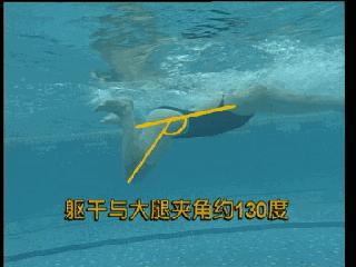 蛙泳腿部翻脚错误纠正,蛙泳在水中腿部翻脚忘记了怎么办