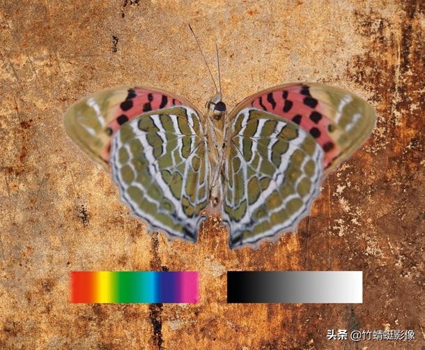 ps图层混合模式线性光在哪里,ps合并图层如何保留混合模式效果