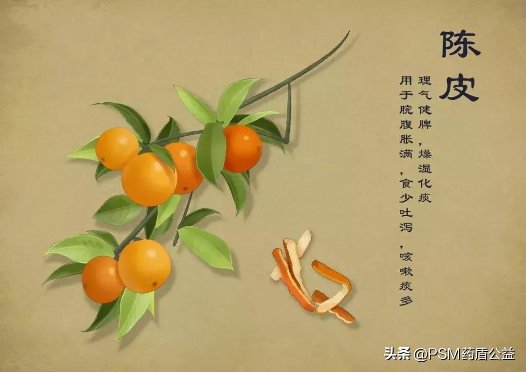 春暖花开手绘视频,春暖花开中药贴画