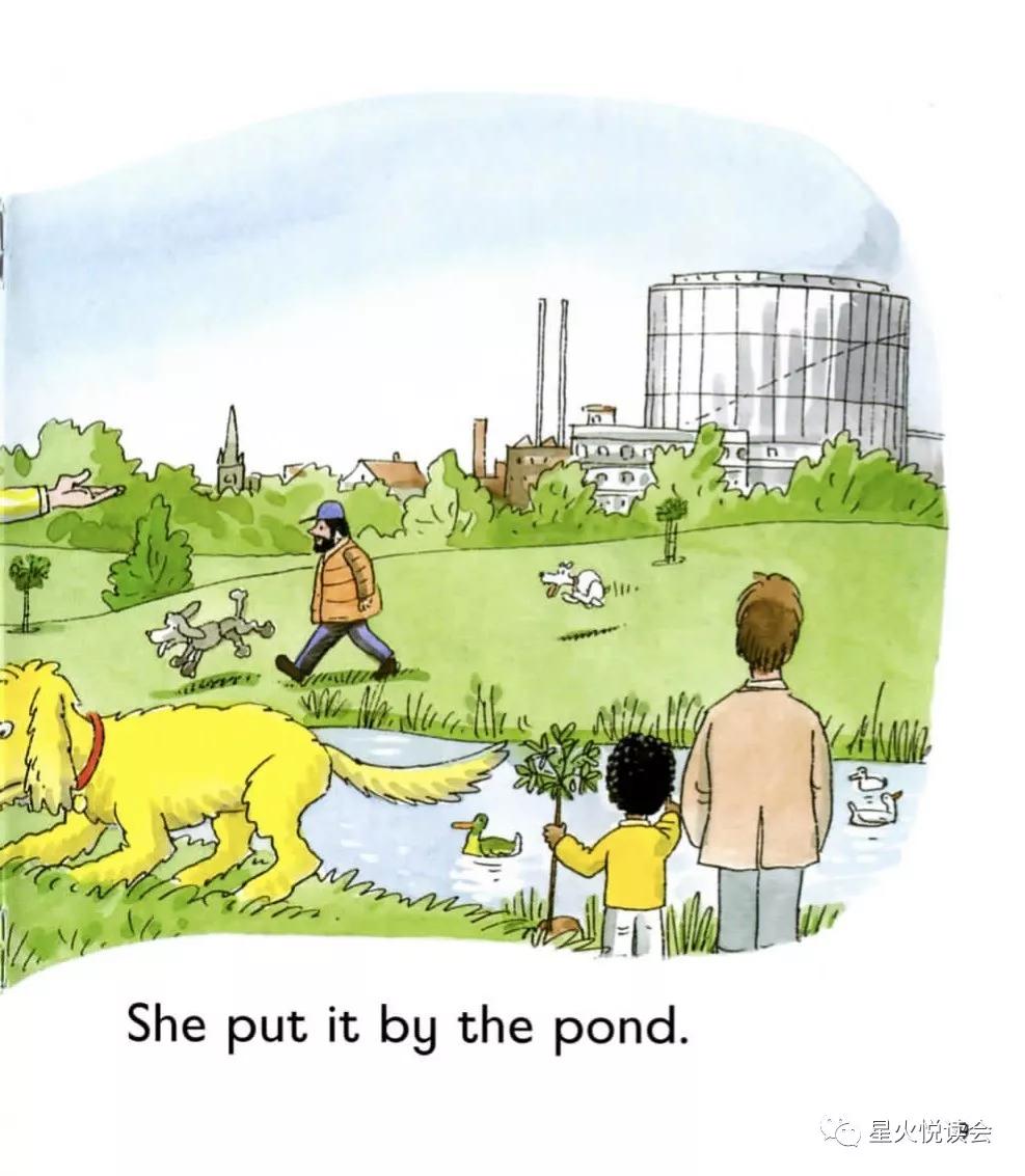 newtrees牛津英语绘本,牛津树第二级英文绘本