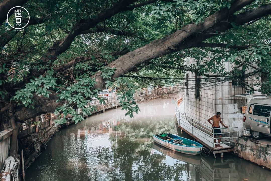 再见了沥川原唱视频,再见王沥川完整视频