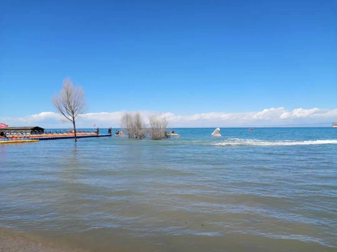 华语男流行歌曲100首完整版,男流行歌曲三十首经典