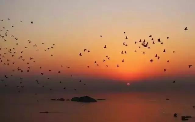 推开窗见大海的民宿榜单,推开窗能看到海的房子