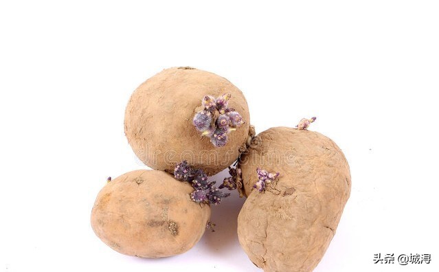 超实用的生活小妙招教给你,生活神奇小妙招