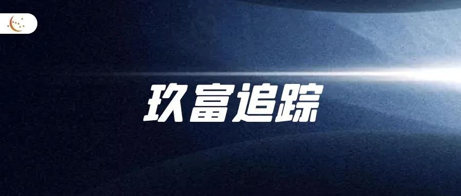 美国股民起诉上市公司案例,美国股民起诉上市公司