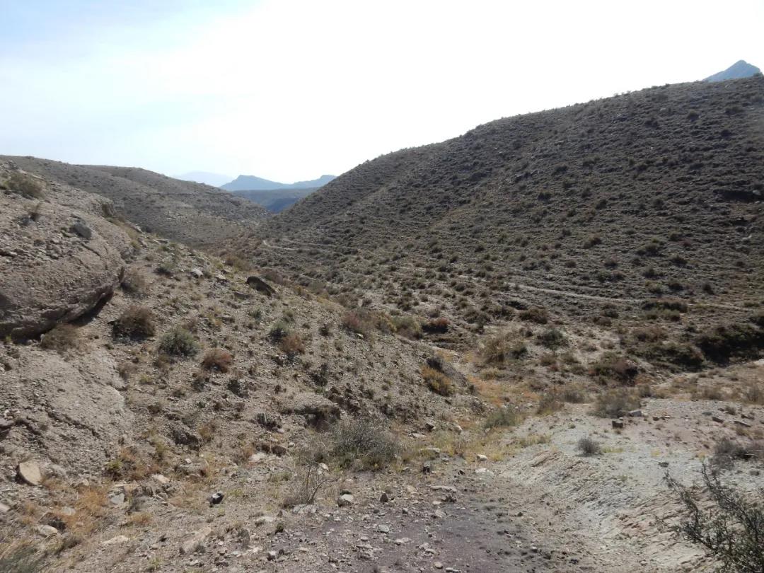 在贺兰山当兵的日子,难忘贺兰山军营