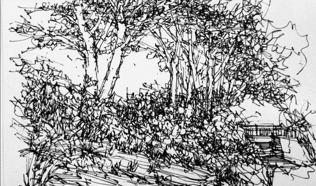 退休了想做什么工作,退休之后你想做什么