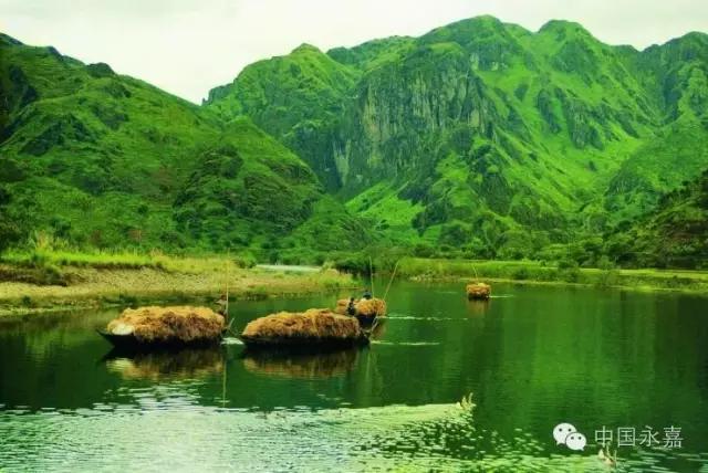 太珍贵是什么歌,太珍贵歌曲