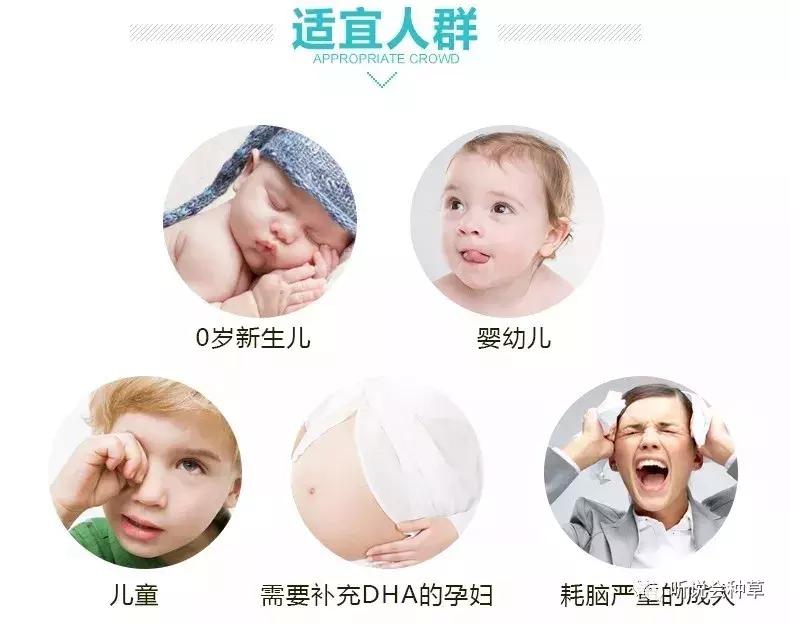 宝宝海藻油dha推荐,bioisland婴儿dha海藻油怎么样