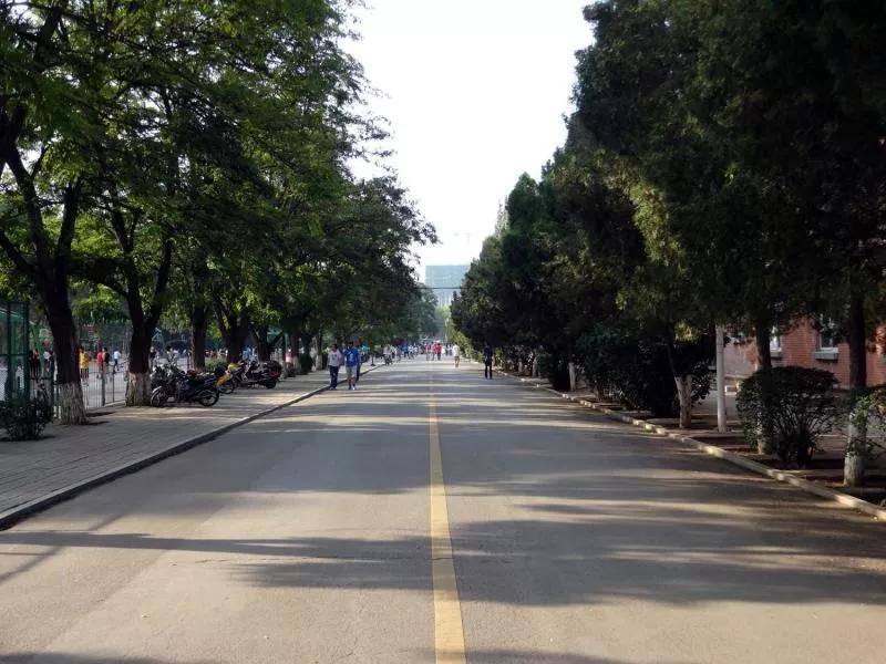 辽宁工程技术大学辽宁省分数线,辽宁工程技术大学在辽宁省排名