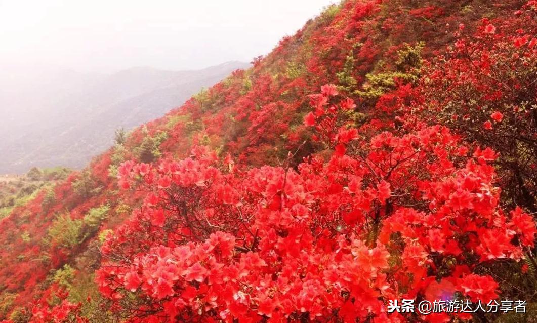 户外徒步广州一日游推荐,广州最美徒步登山经典路线