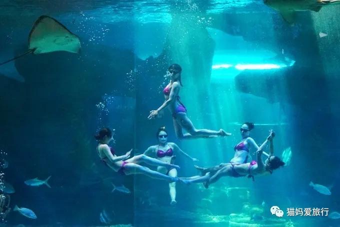 齐河附近带孩子自驾游景点,周边亲子游齐河