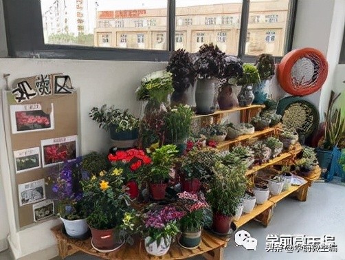 南京逸仙小学附属幼儿园,南京逸仙幼儿园性质