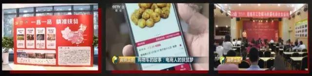 贝店我的店如何成为店主,贝店我的店实体店怎么开