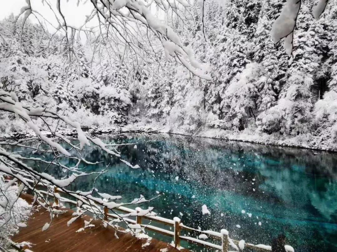 九寨沟旅游如何购票,九寨沟官网购票旅游攻略