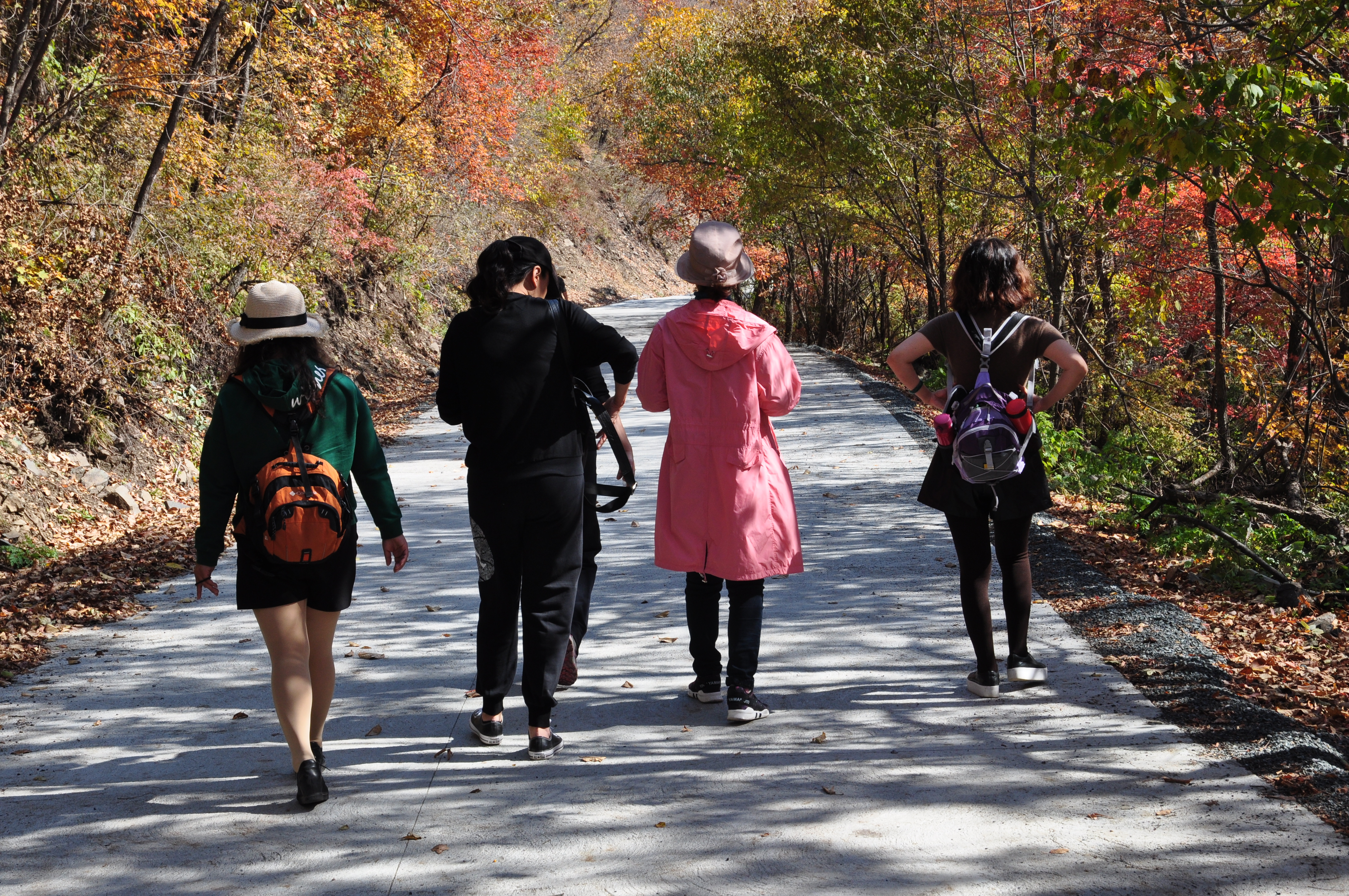 此时的辽宁不进景区照样处处风景，我带5位女同学野山里玩了一天