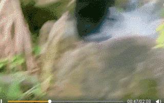 杀鬼子前要先涂口红？我不允许你没看过才女叶璇的“抗日神剧”