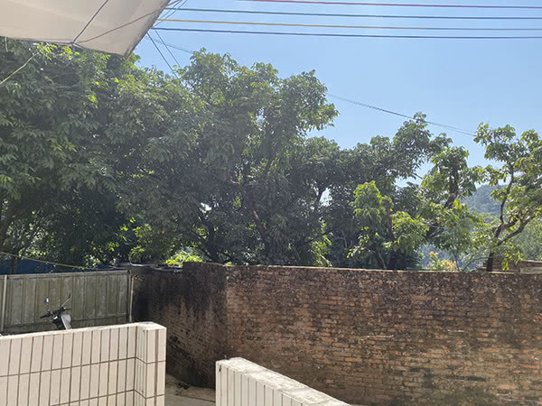 “果小云”伪造农民身份，背后公司注册资金百万，家中无脐橙果园