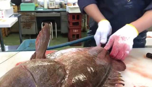 月薪三万顶级厨师,日本顶级厨师处理三文鱼