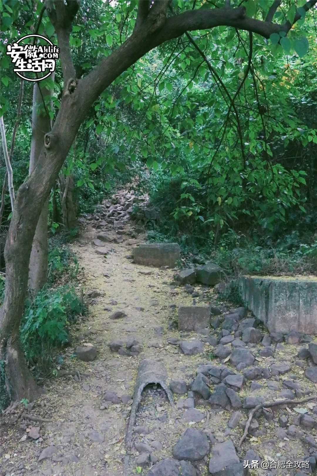 大蜀山,大蜀山的爱情