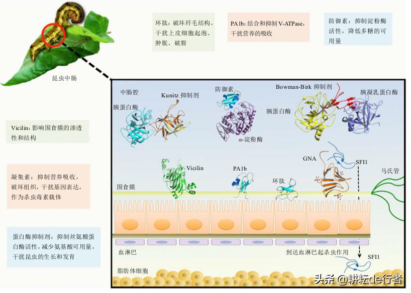 定了！2020年生物源农药发展新方向