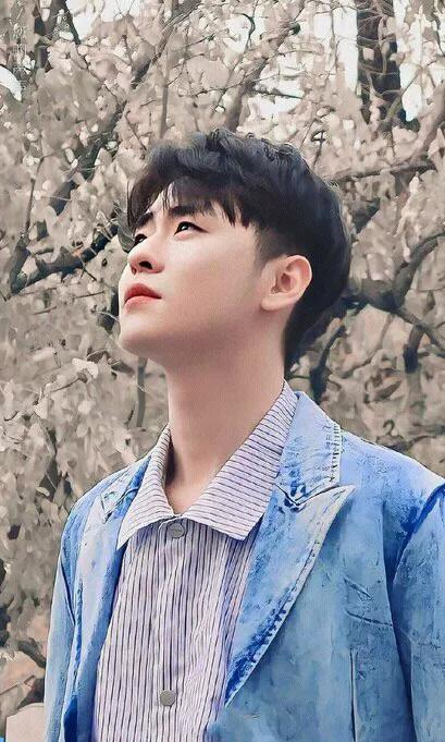 张云雷昏迷时的感受,张云雷坠落脊椎骨摔断了吗