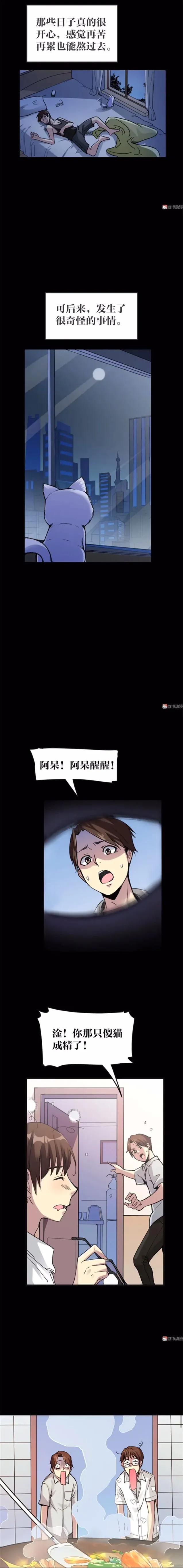 猫咪拟人化漫画,天秤座漫画猫咪