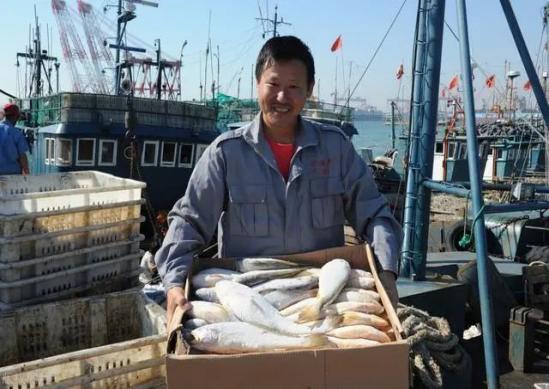 刀鱼从60块钱一斤,跌至3块钱一斤,消费者:再便宜也买不起