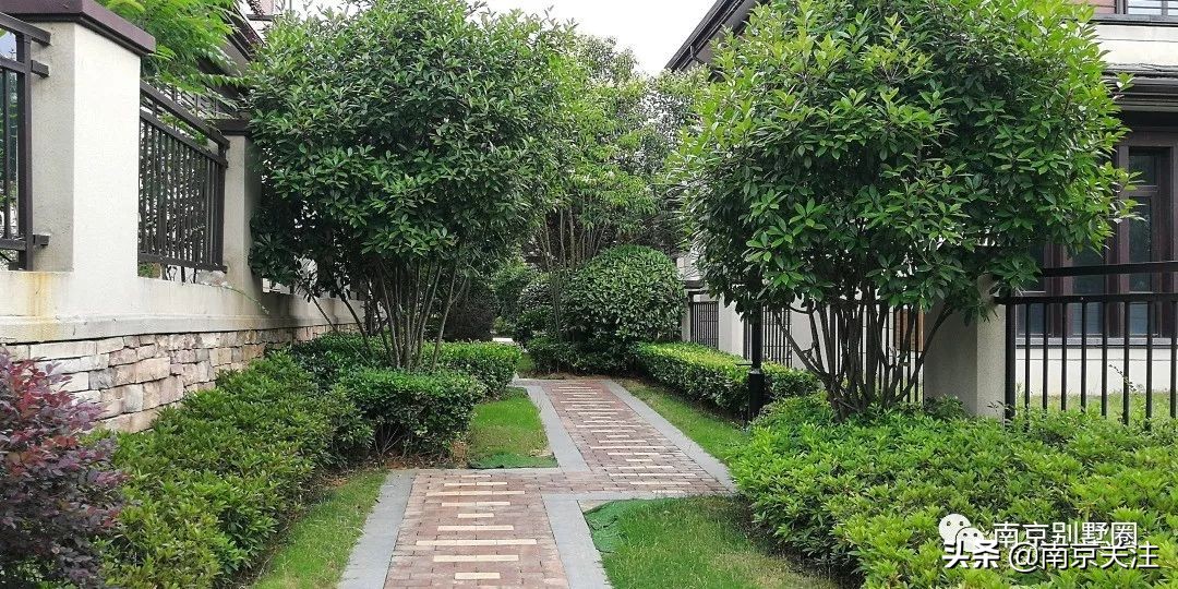 南京首开新项目房价,南京山居温泉楼盘