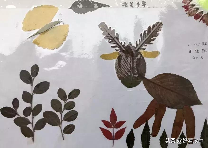 静谧之秋落叶有情汉中市北关小学树叶粘贴画展评