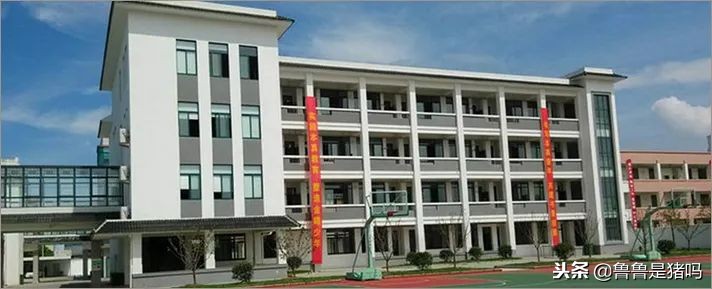 苏州有哪些五年一贯制学校,苏州园区九年一贯制学校排名