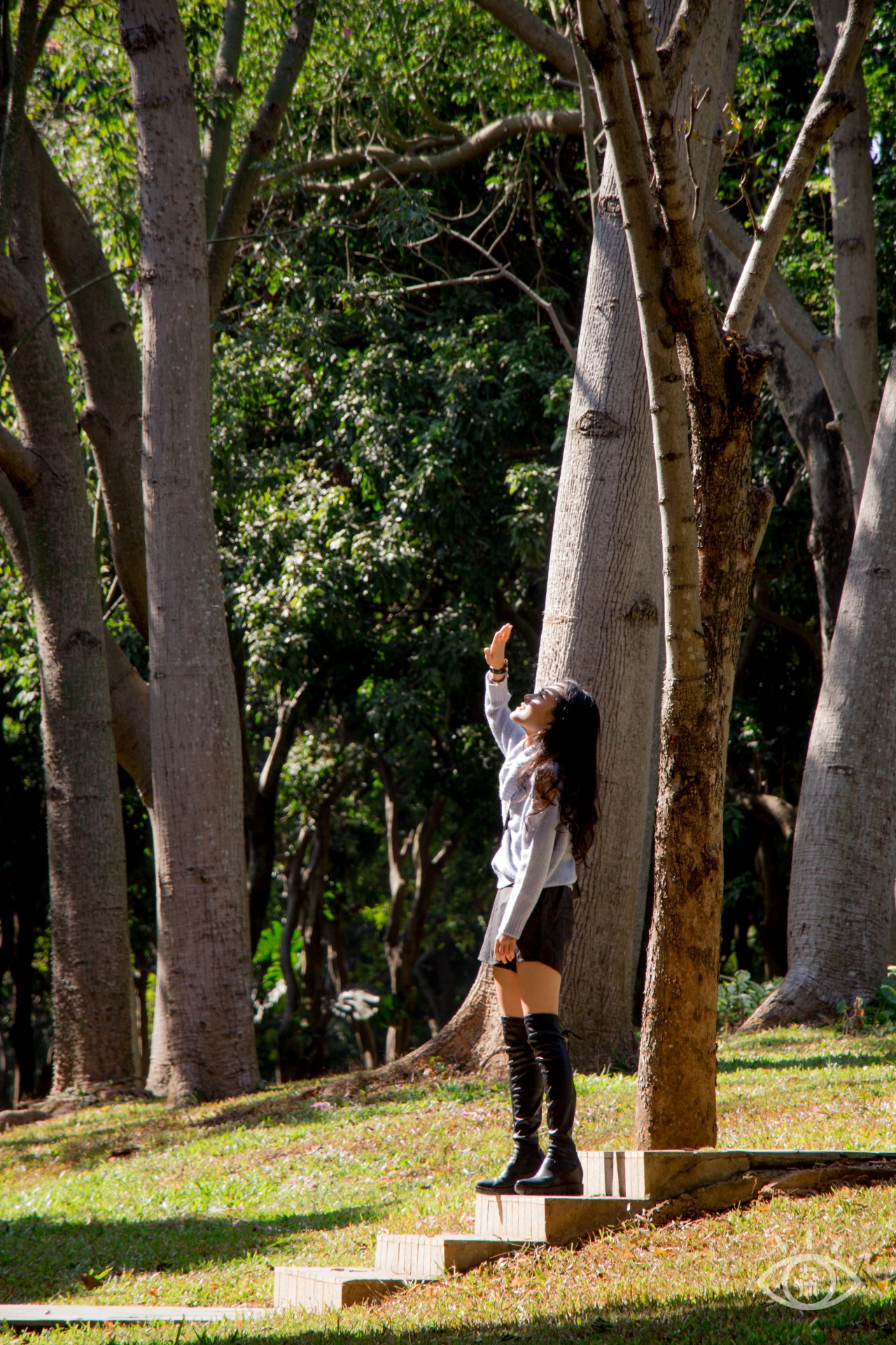 深圳十大顶级公园,深圳市十大风景公园排名