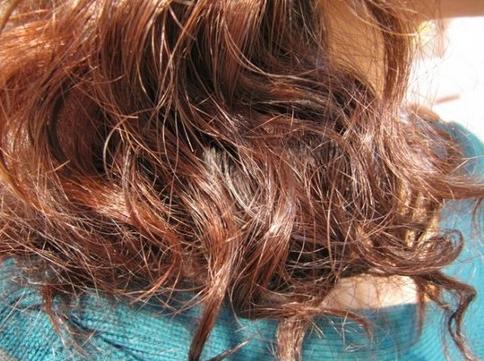 头发干枯毛躁洗头时扎什么好,头发干枯只用发膜洗头发可以吗