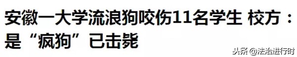 大学宿舍养猪被通报,宿舍养猪被学校批评