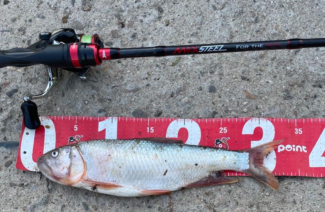 「渔获名人堂周榜」这两位粉丝钓友，你们太牛了