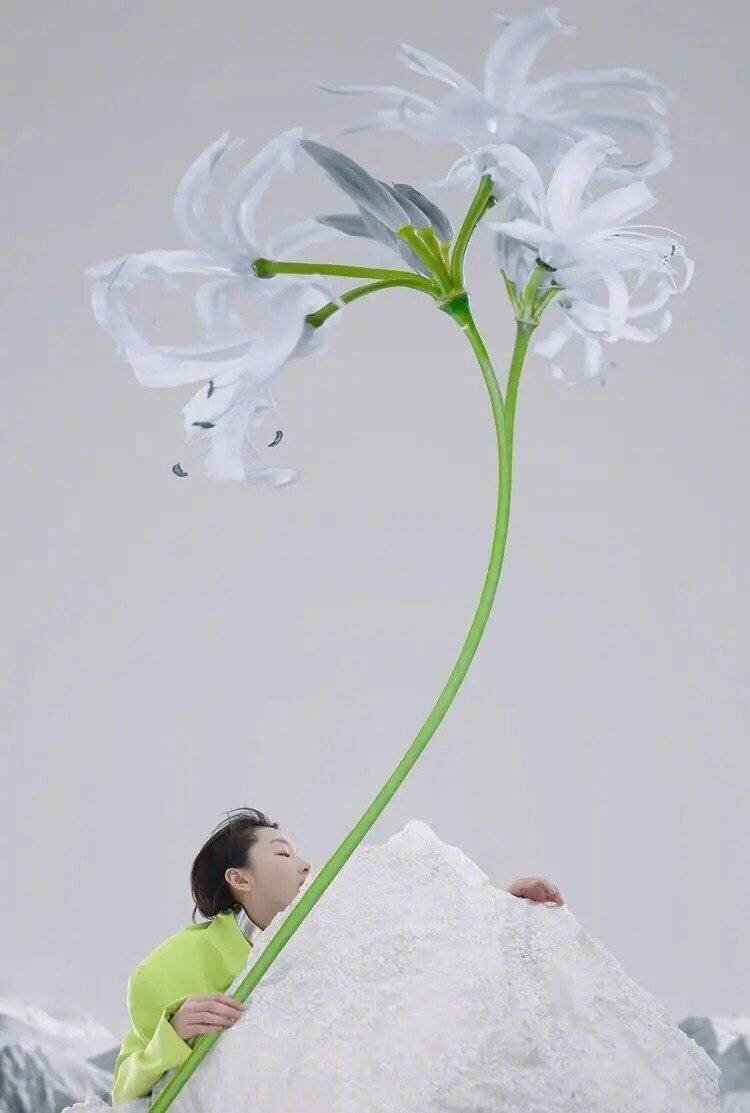 周冬雨银灰色寸头时尚感爆棚,周冬雨短发寸头