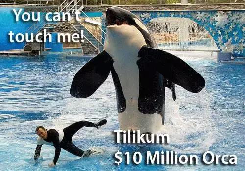 明星撞衫后的惨烈对比,明星撞衫的那些事