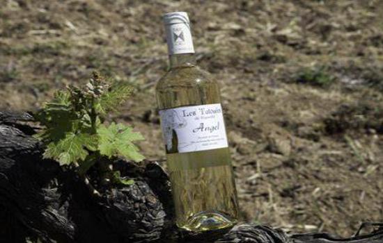 游四方攻略,游四方走八方