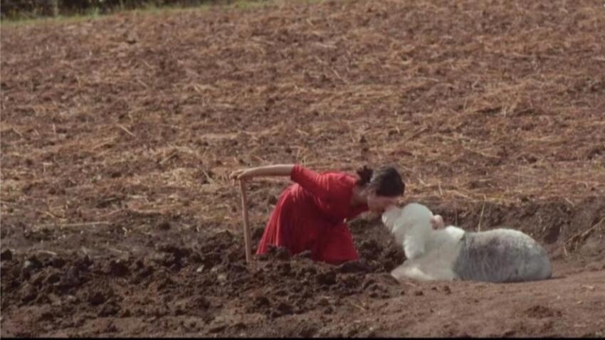 涉外婚姻怎么面对三观不合,如何面对三观不合的老公