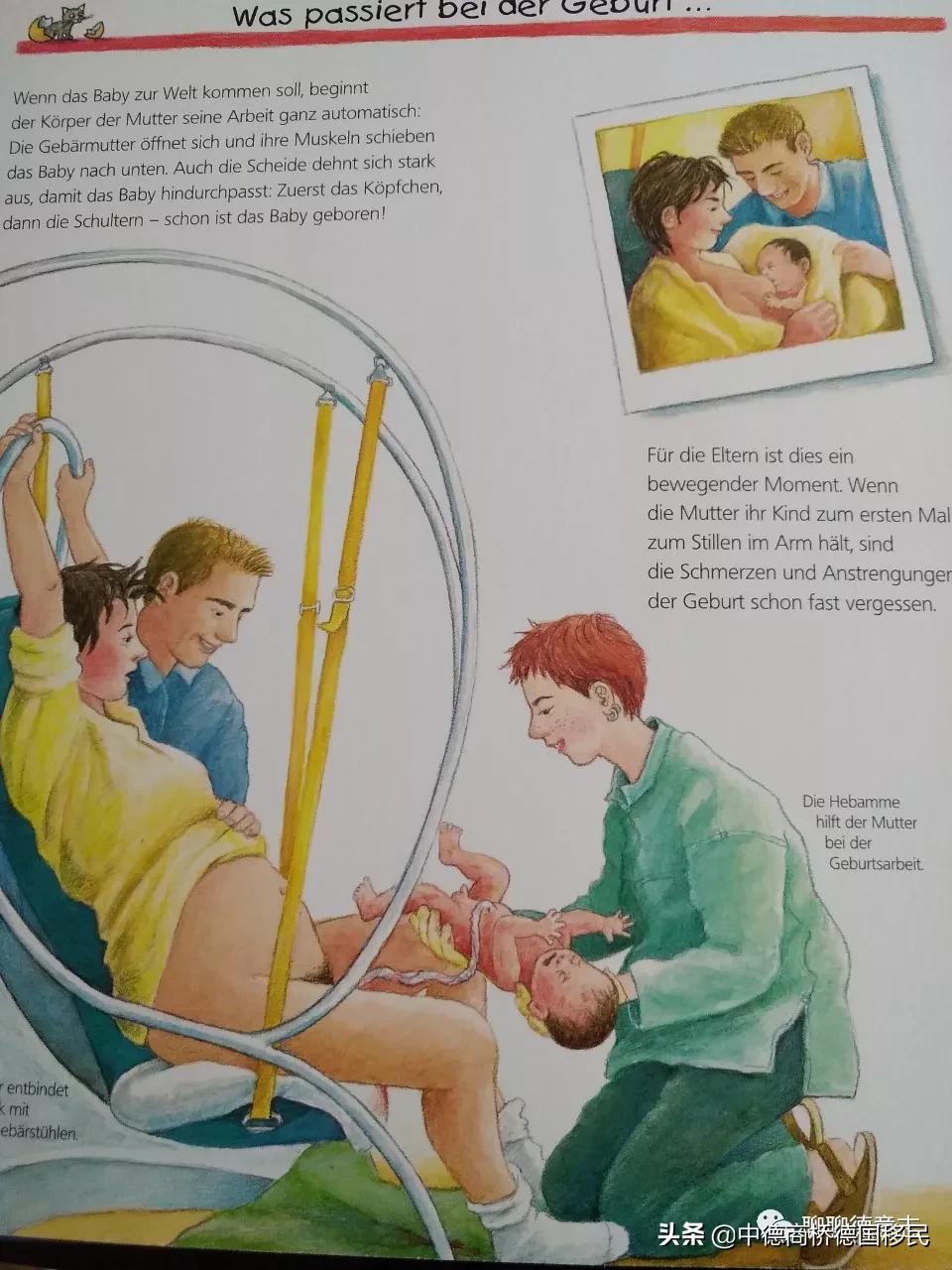 德国性教育绘本,德国儿童性教育