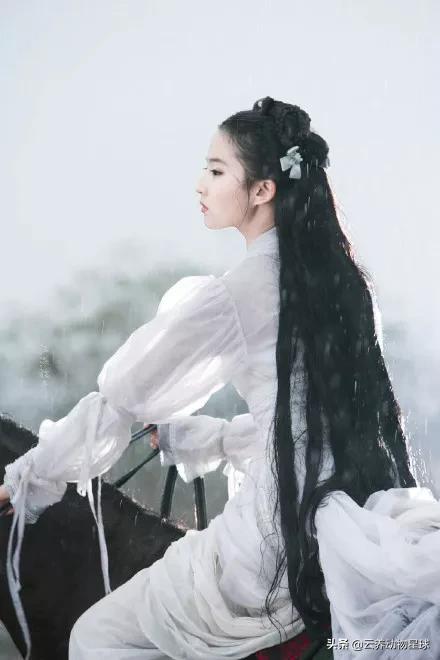 必备的马术知识,马术能不能速成