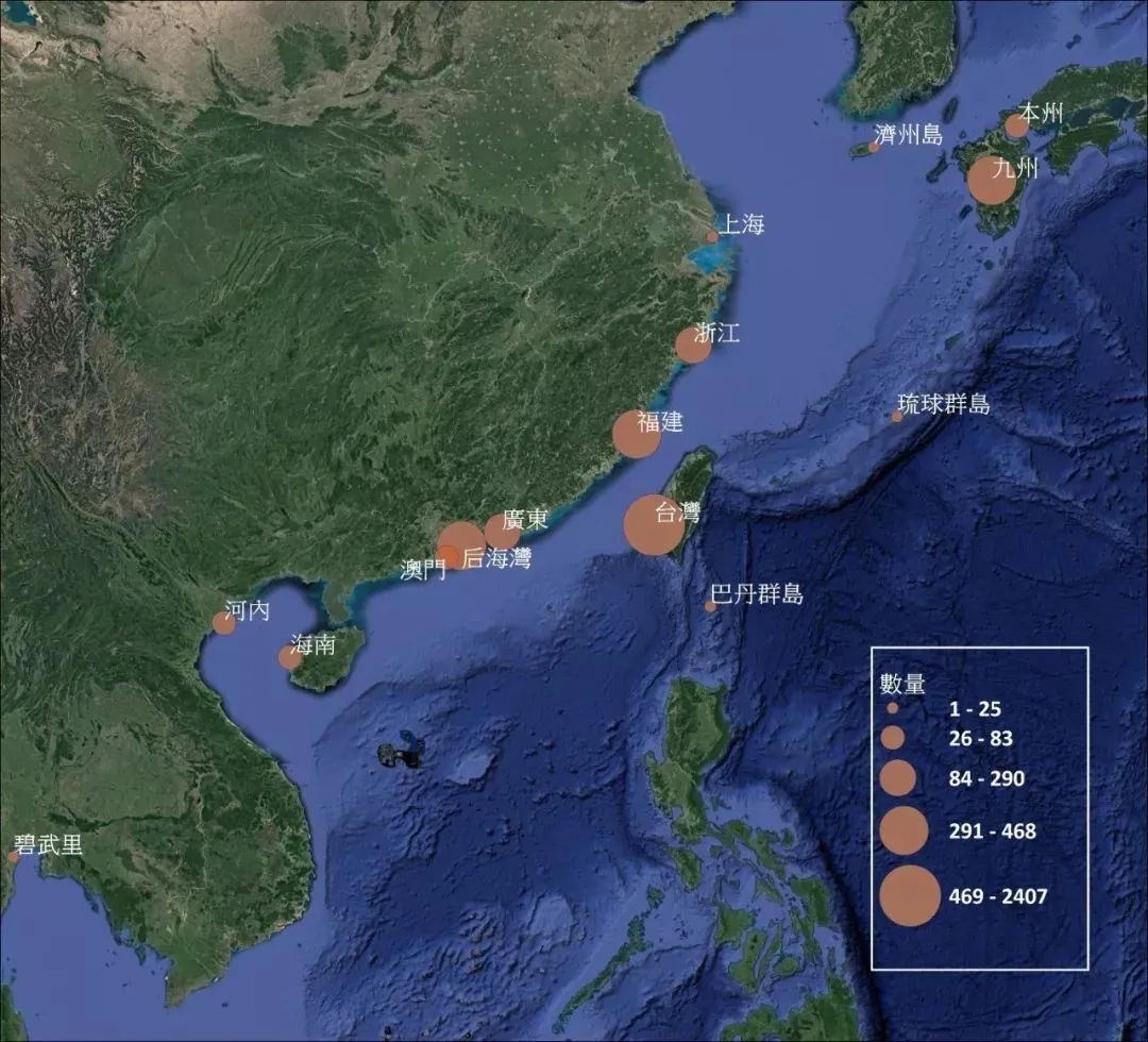 深圳湾在哪里,深圳湾是什么区的