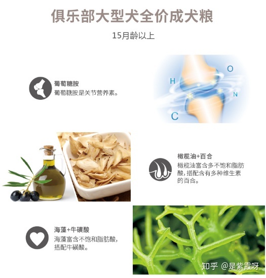 什么狗粮好国产狗粮排行榜,进口狗粮好还是国产狗粮好