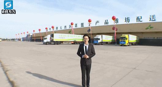 寿光菜篮子果蔬,寿光粤港澳大湾区蔬菜